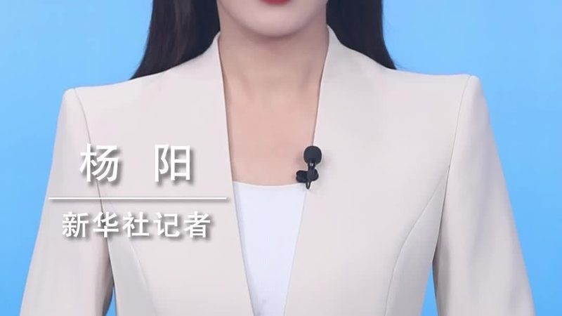 供应链管理论文选题：如何选择合适的研究方向**