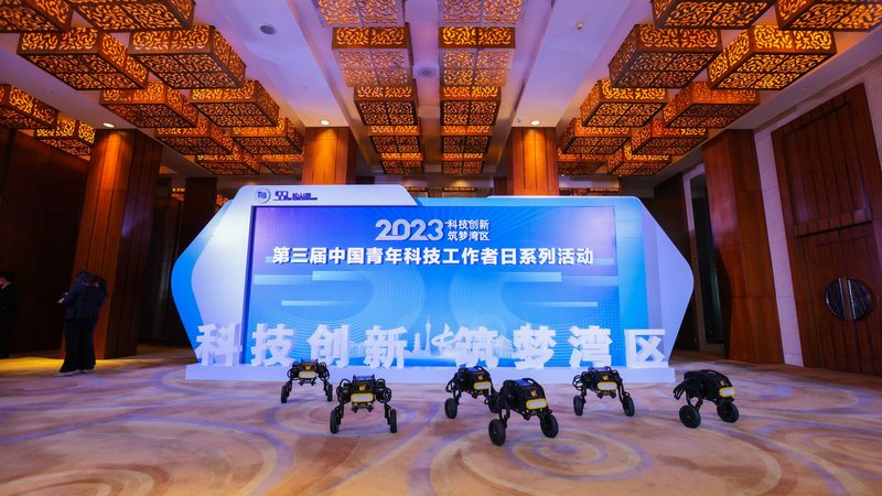大数据分析学习路线：构建高效数据洞察能力的五个步骤